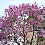 Hotel Unisotel Le Mans