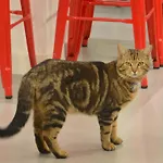 Unisotel Hotel Le Mans