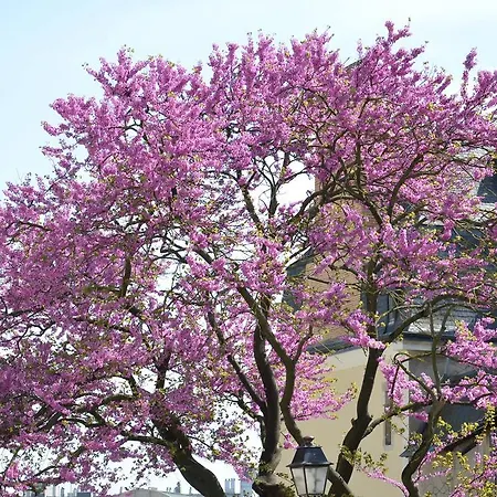 Ξενοδοχείο Unisotel Λε Μανς