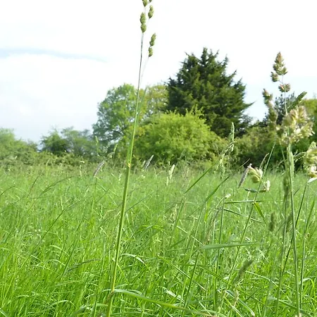 Ξενοδοχείο Unisotel