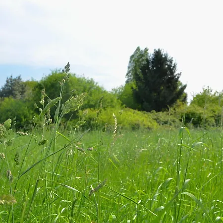 Ξενοδοχείο Unisotel 2*