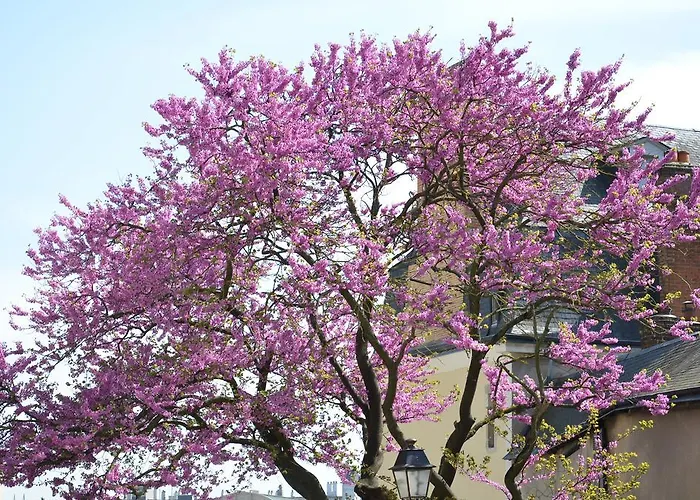 Otel Unisotel Le Mans