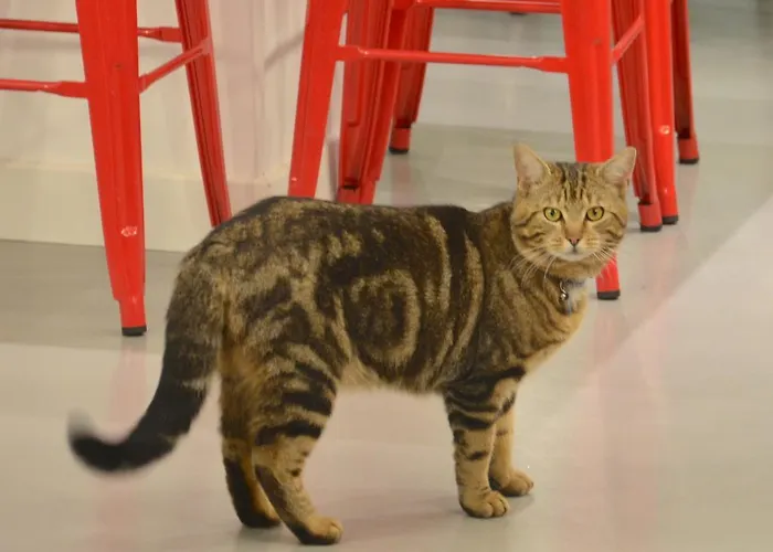 Unisotel Hotel Le Mans